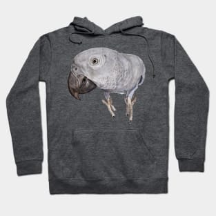 African Gray Parrot Tropical Bird Watercolor Art Print Hoodie